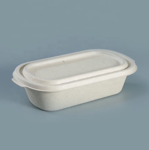 Compostable clamshell sugarcane Single Compartment