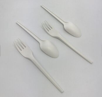 Cpla spoon tableware